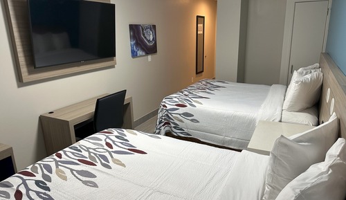 Habitación estándar, 2 camas de matrimonio (Smoke Free)