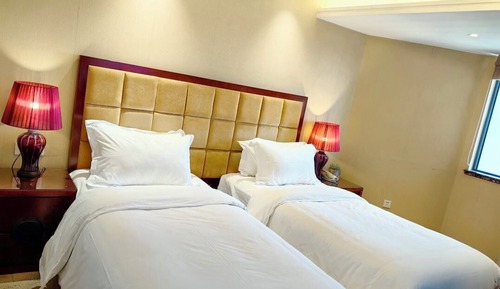 Habitación Confort con 1 cama doble o 2 individuales