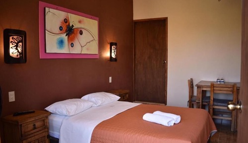 Habitación básica, balcón, vistas al jardín