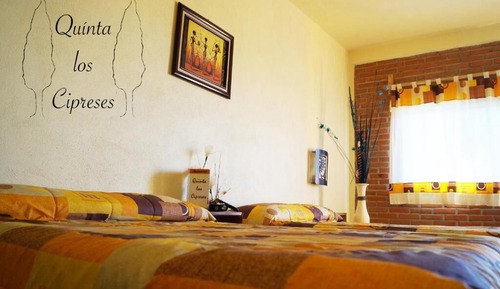 Habitación Confort doble de uso individual, balcón, vistas al jardín