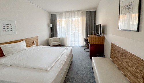Habitación estándar doble, vistas al parque