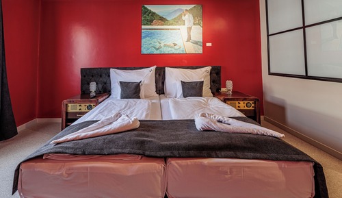Habitación superior con 1 cama doble o 2 individuales