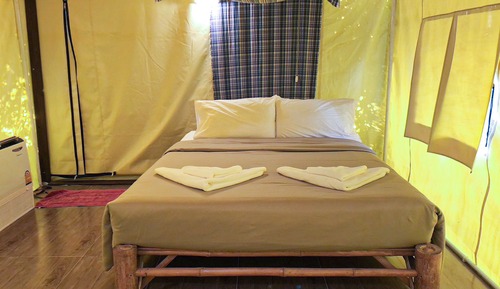 Habitación estándar con 2 camas individuales