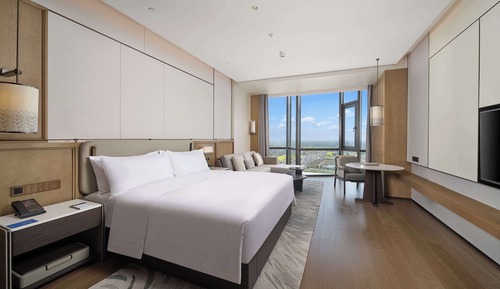Habitación ejecutiva, 1 cama de matrimonio grande