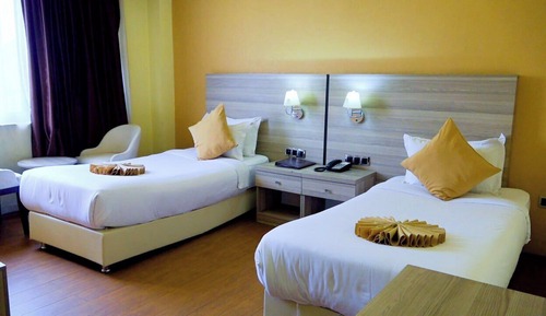 Habitación estándar con 2 camas individuales