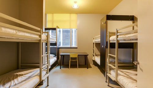 Dormitorio compartido, dormitorio mixto, baño compartido (1 bed in 8-person dorm)