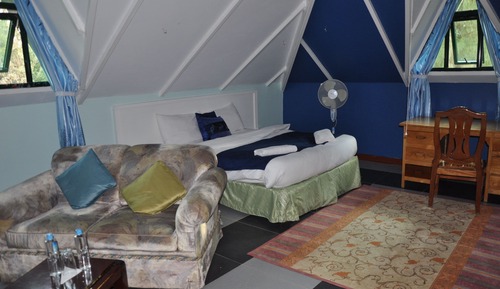 Habitación estándar doble