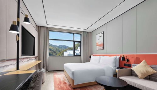 Habitación, 1 cama de matrimonio grande