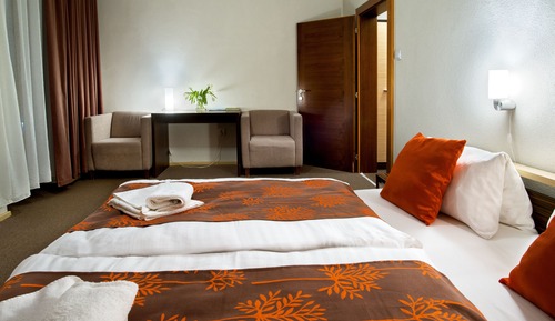 Habitación Deluxe con 1 cama doble o 2 individuales