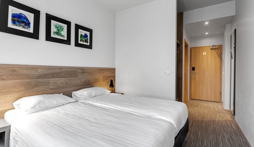 Habitación estándar con 1 cama doble o 2 individuales (with Hot Tub and Sauna Access)