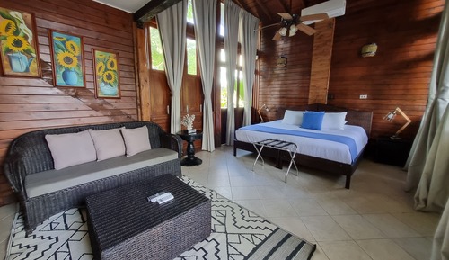 Habitación junior
