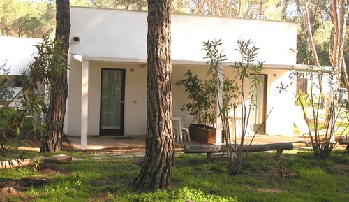 Estudio