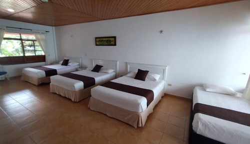 Habitación estándar, varias camas