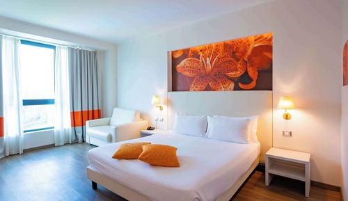 Habitación ejecutiva, 1 cama doble, vistas al parque