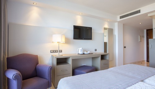 Habitación estándar con 1 cama doble o 2 individuales, vistas al jardín