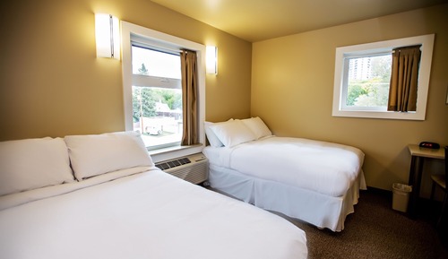 Standard Double Room, 2 Double Beds