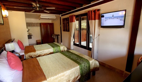 Deluxe Twin (Ground floor) 