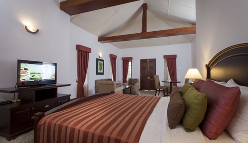 Suite estudio Premium, 1 cama de matrimonio grande, accesible para personas con discapacidad