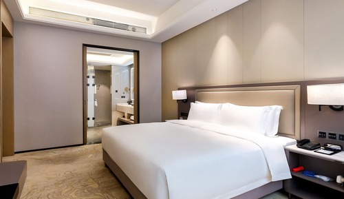 Suite estudio Premium