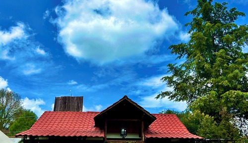 Cabaña junior, vistas al jardín