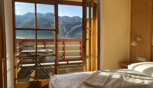 Habitación Confort doble, vistas al jardín