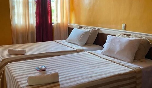 Habitación estándar con 2 camas individuales