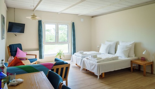 Habitación clásica con 1 cama doble o 2 individuales
