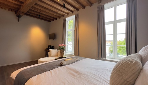 Habitación Deluxe doble, vistas al jardín
