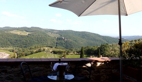 Habitación exclusiva, vistas al viñedo