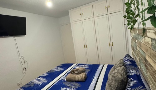 Habitación básica doble, 1 cama doble