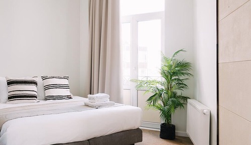 Estudio Confort, 1 cama doble, cocina