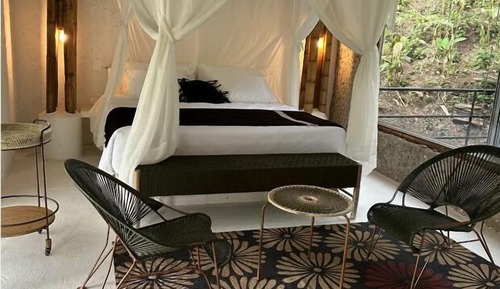 Suite el bosque