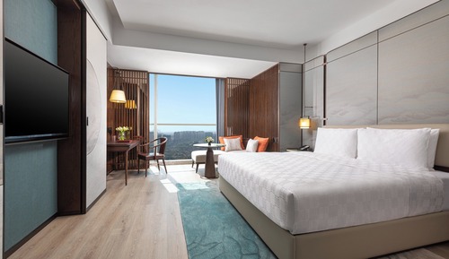 Habitación estándar, 1 cama de matrimonio grande (Lily Town View)