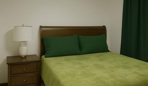 Suite, 1 cama de matrimonio con sofá cama, no fumadores, cocina básica