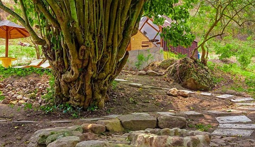 Cabaña Deluxe, vistas al jardín