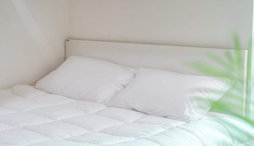 Habitación básica, 2 habitaciones (poolvilla 102)