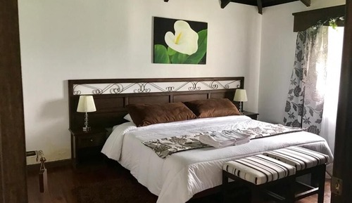 Habitación Premium doble de uso individual
