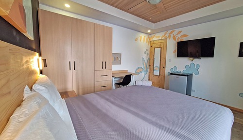 Habitación Confort, vistas al jardín