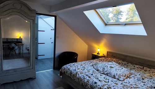 Habitación doble superior, 1 cama de matrimonio grande