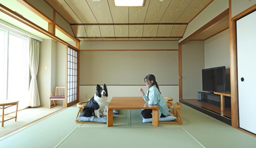 Habitación Deluxe, no fumadores (Japanese-Western-Style)