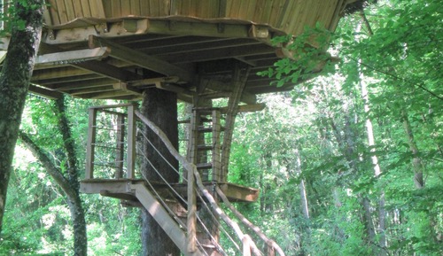 Casa en un árbol, vistas al jardín