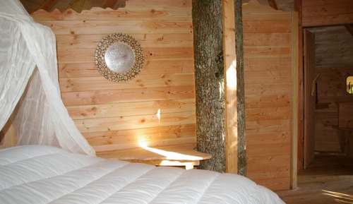 Casa en un árbol