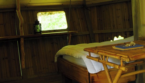 Casa en un árbol