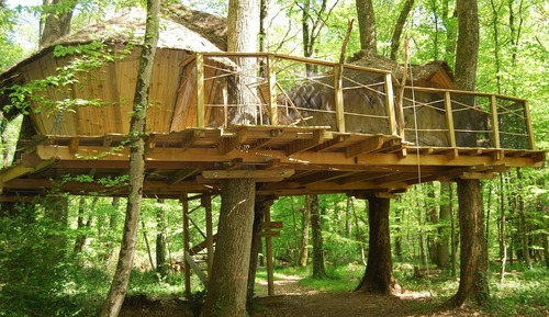 Casa en un árbol