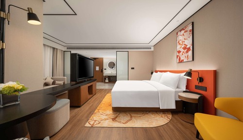 Habitación Premium, 1 cama de matrimonio grande