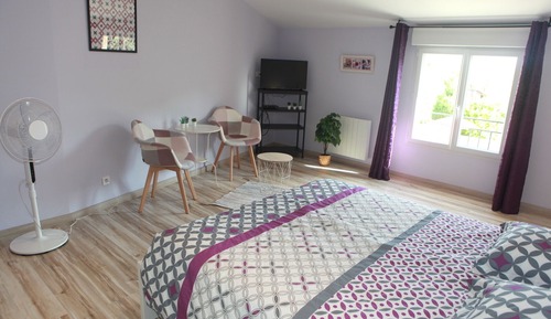 Habitación Confort, vistas al jardín