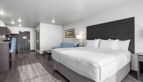 Estudio, 1 cama de matrimonio grande con sofá cama (Extended Stay, Audible/Visual Alert)