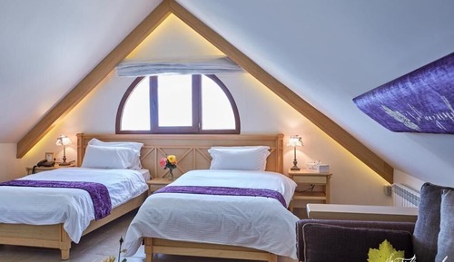 Habitación Deluxe con 1 cama doble o 2 individuales