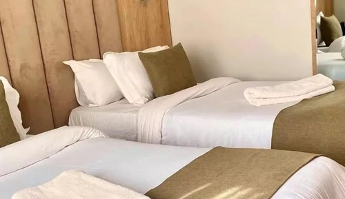 Habitación estándar con 1 cama doble o 2 individuales