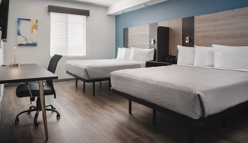 Suite Deluxe, 1 habitación